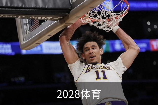 专业2028体育平台