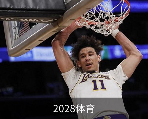 2028体育体育的故事 
